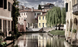 Treviso